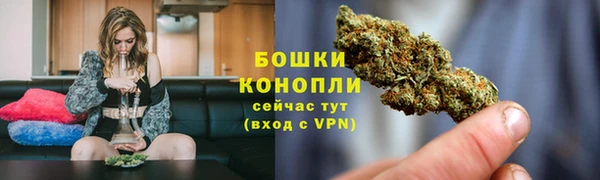 шишки Протвино