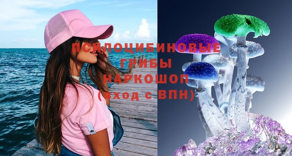 сатива Пролетарск