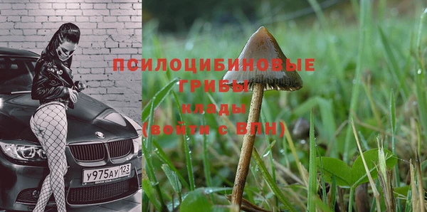 соль курить ск Приозерск