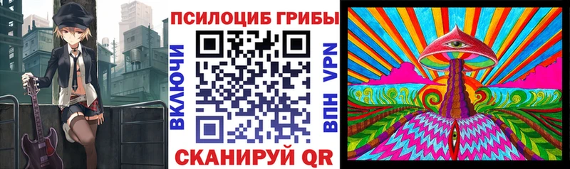 Псилоцибиновые грибы Psilocybe  Чехов 